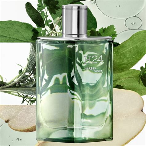 hermes h24 equivalente|Hermes herbes vives.